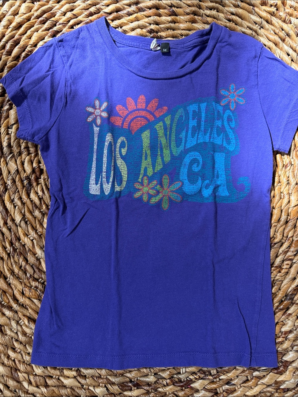 Alstyle Los Angeles retro Graphic Tee - Purple